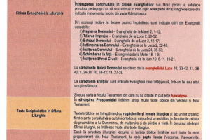 Sfanta-Scriptura-in-cult-2